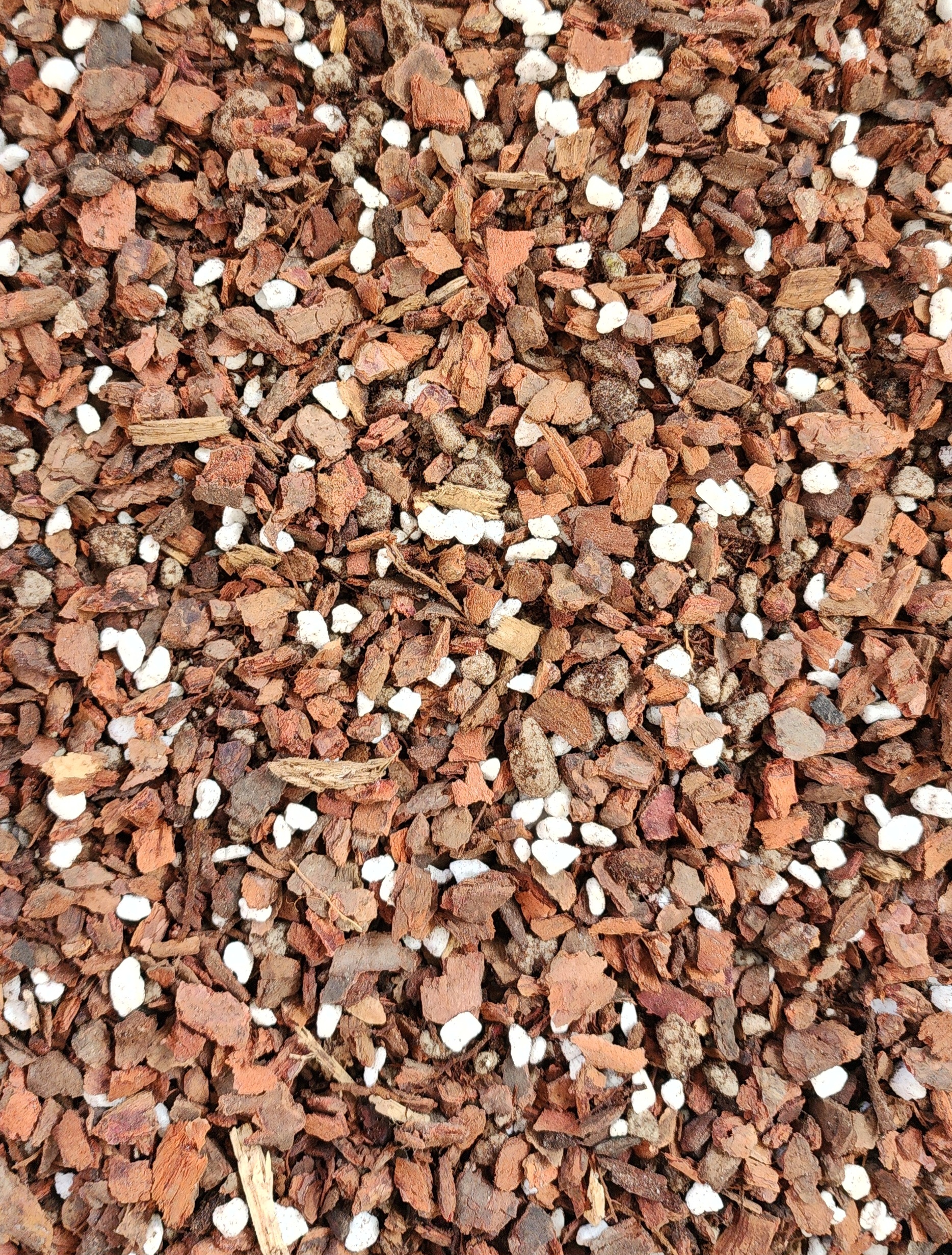 Chunky aroid mix