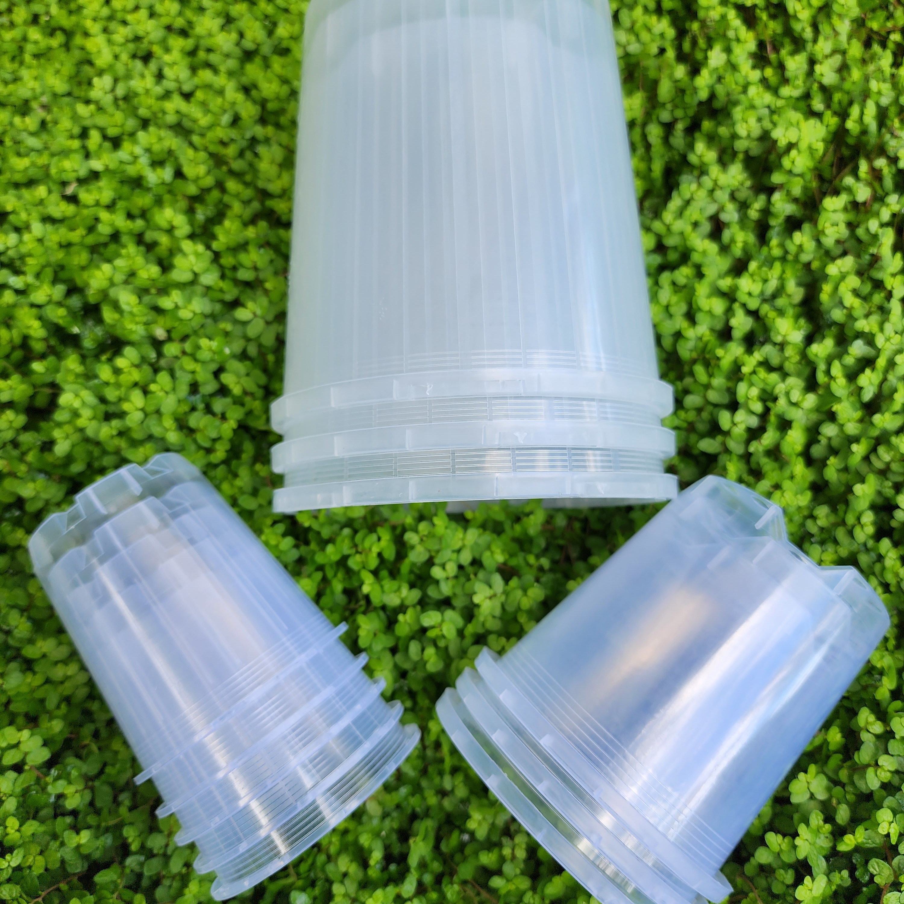 Stack of clear orchid pots
