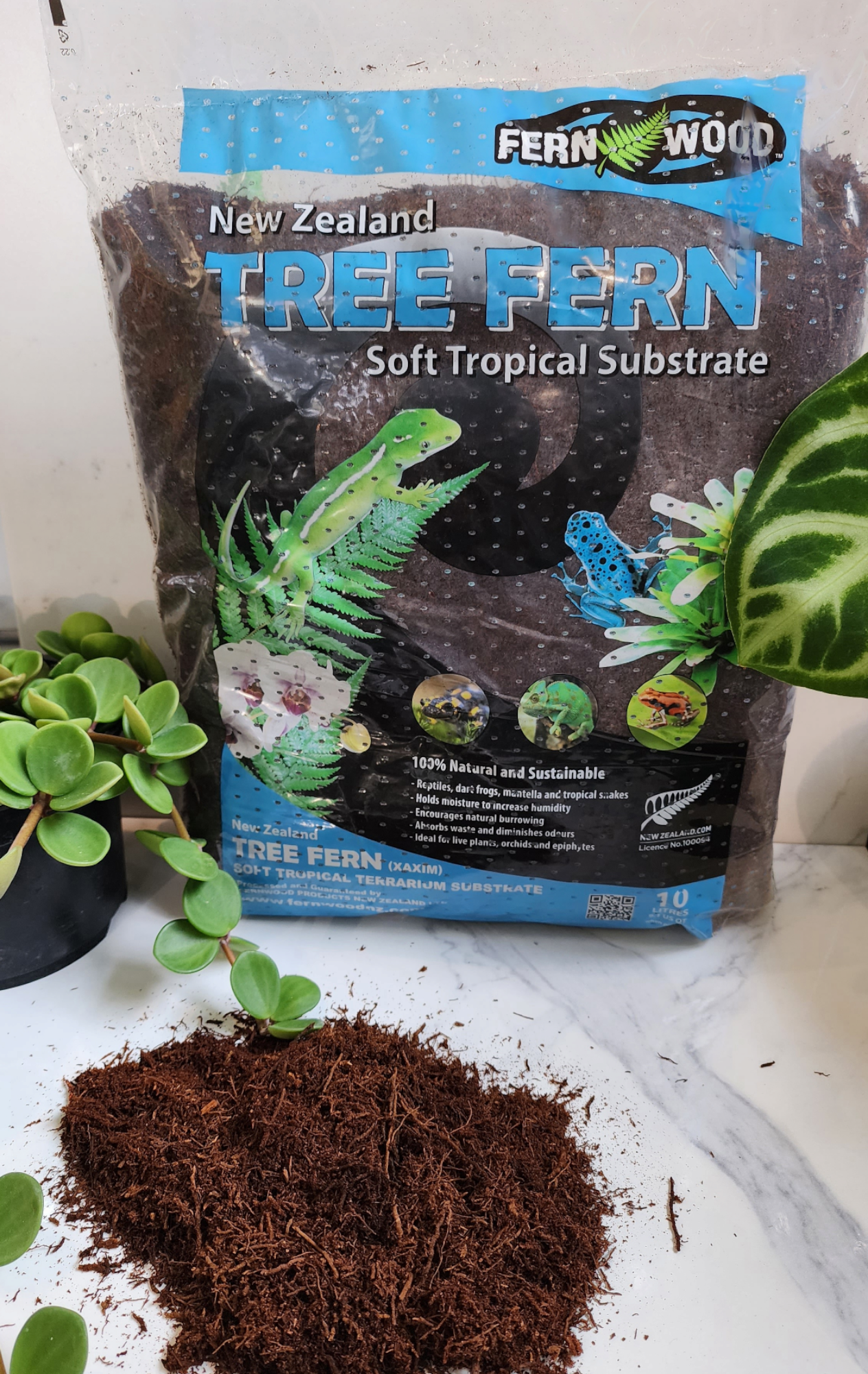 Fern Wood New Zealand Tree Fern soft tropical substrate
